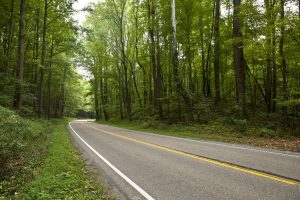 Why Are Rural Roads So Dangerous?